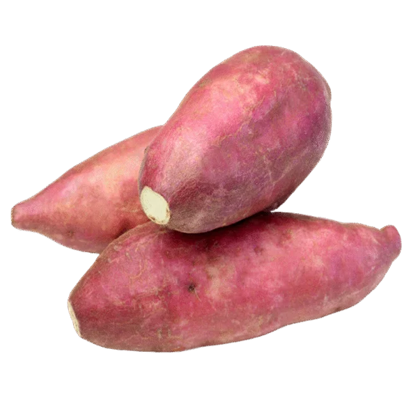 PATATE DOUCE – بطاطة حلوة
