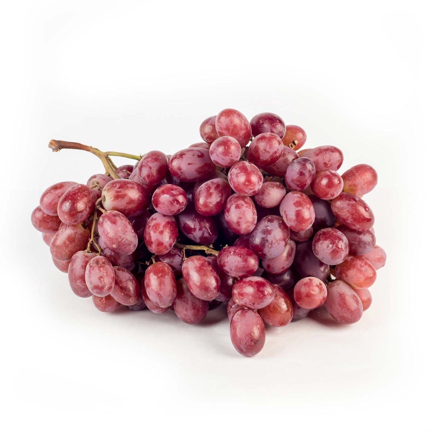RAISIN ROUGE – العنب الأحمر